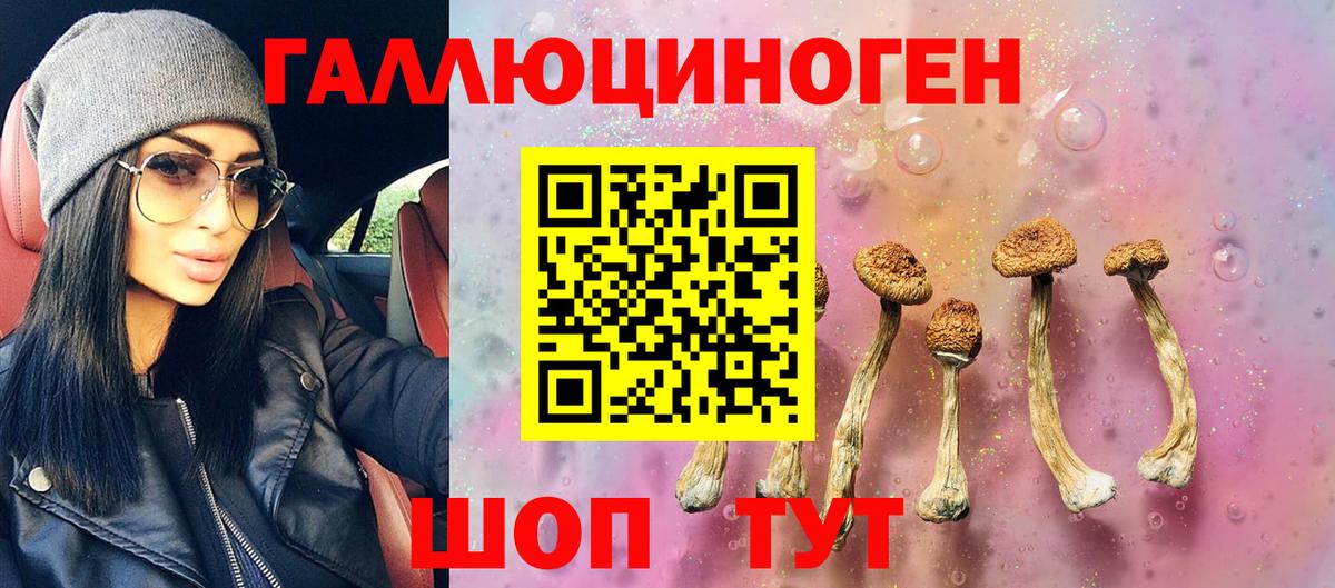 Псилоцибиновые грибы прущие грибы  Вход с VPN  Калининград 