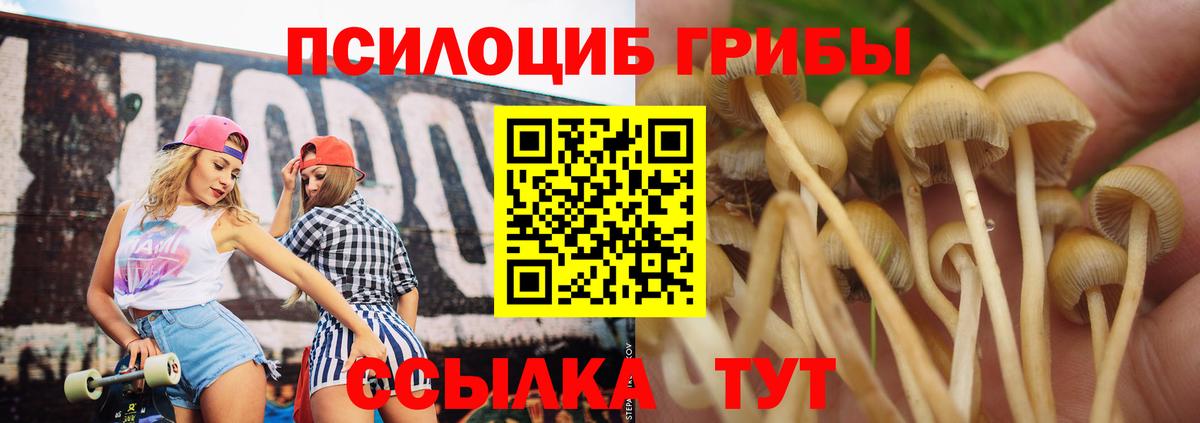 Псилоцибиновые грибы ЛСД Калининград